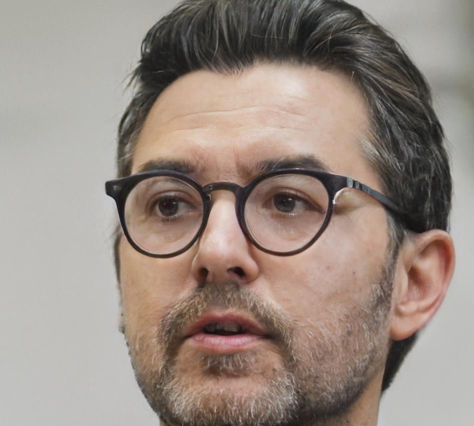 Henrik Vollmer, Fachberater